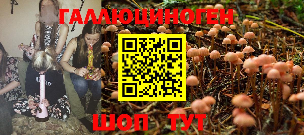 Галлюциногенные грибы Cubensis Партизанск