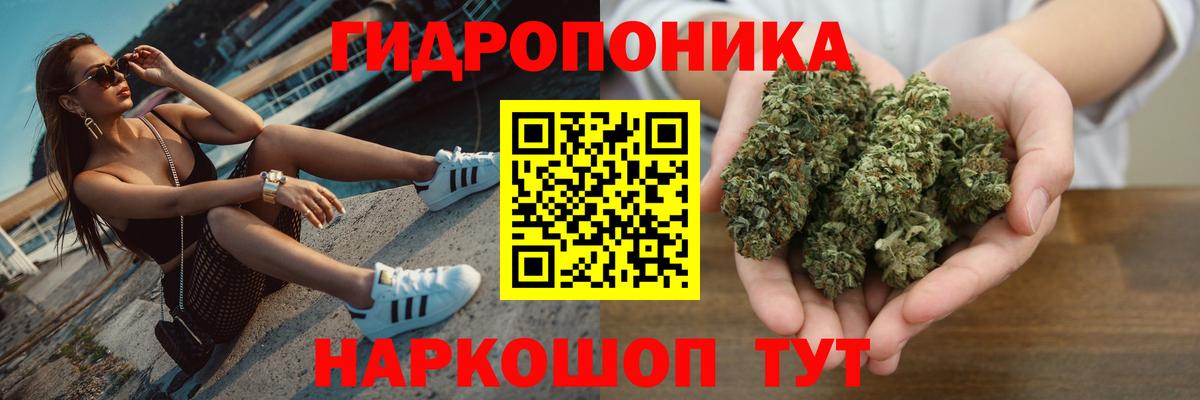 МЕФ Партизанск